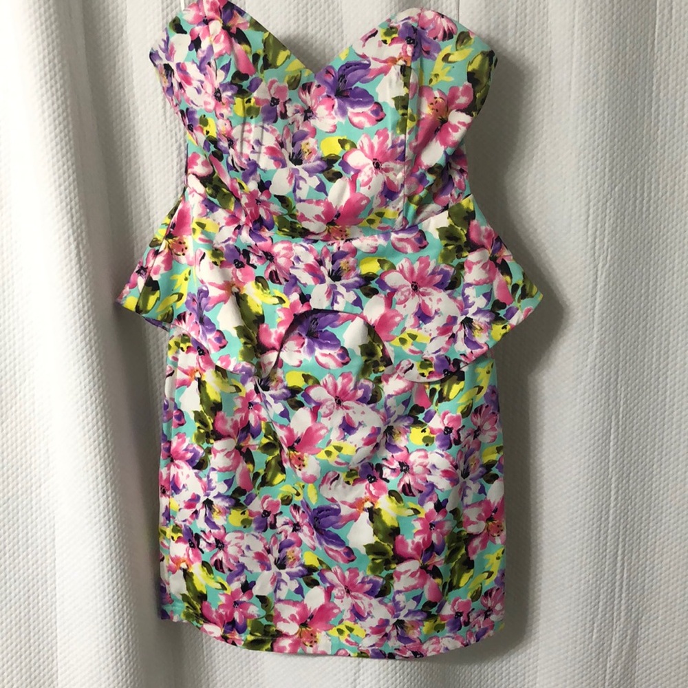 Showpo floral mint dress